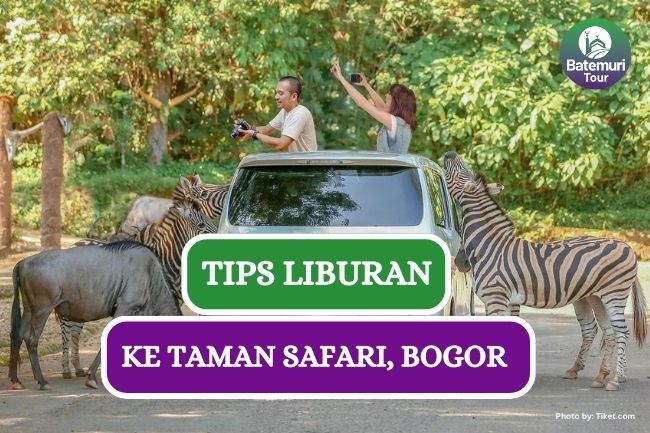 7 Tips & Trik Liburan Hemat Tetap Asyik ke Taman Safari Bogor